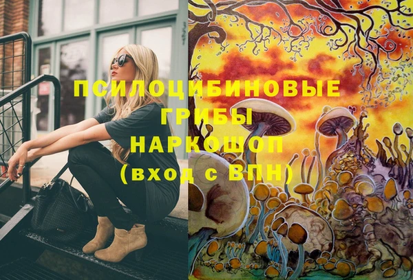 твердый Переславль-Залесский