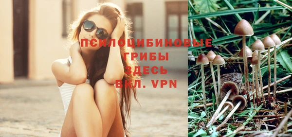 шишки Остров