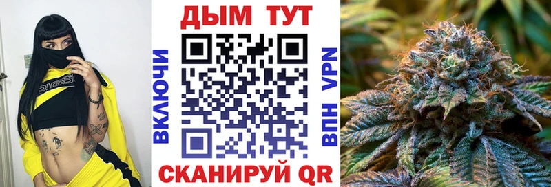 наркотики  Абаза  Бошки Шишки Amnesia 