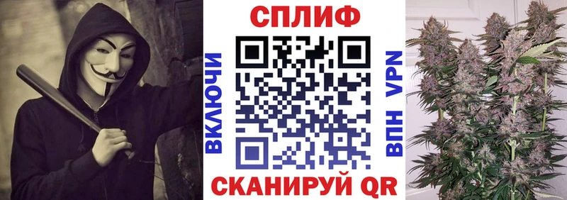 Конопля сатива Абаза